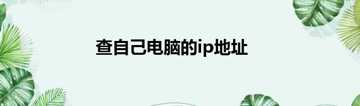 查自己电脑的ip地址