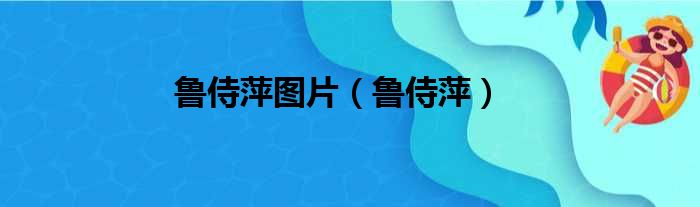 鲁侍萍图片 鲁侍萍