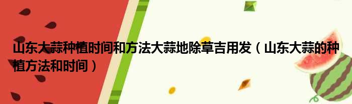 山东大蒜种植时间和方法大蒜地除草吉用发 山东大蒜的种植方法和时间