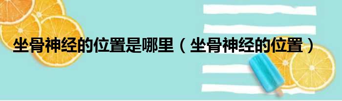 坐骨神经的位置是哪里 坐骨神经的位置