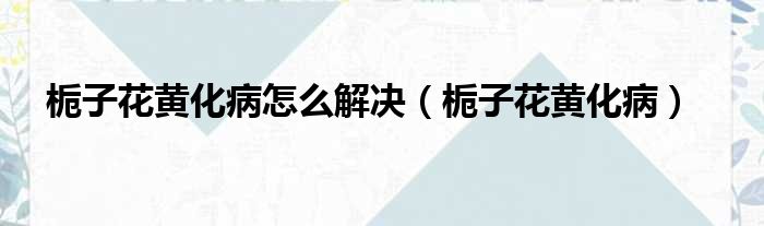栀子花黄化病怎么解决 栀子花黄化病