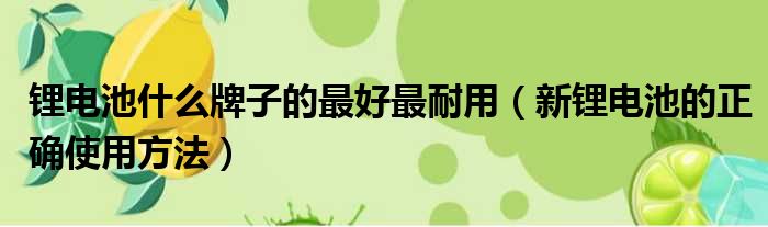 锂电池什么牌子的最好最耐用 新锂电池的正确使用方法