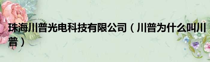 珠海川普光电科技有限公司 川普为什么叫川普