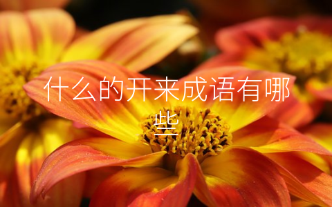 什么的开来成语有哪些