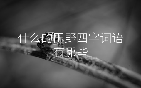 什么的田野四字词语有哪些