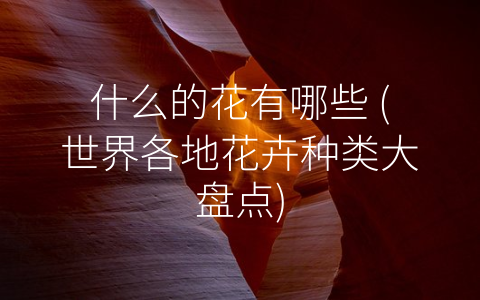 什么的花有哪些 (世界各地花卉种类大盘点)