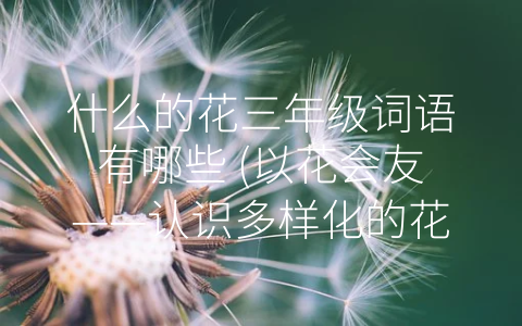 什么的花三年级词语有哪些 (以花会友——认识多样化的花卉世界)