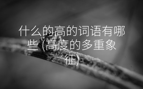什么的高的词语有哪些 高度的多重象征