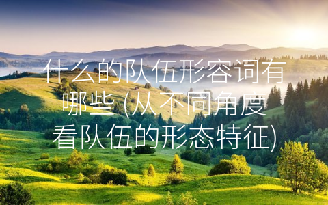 什么的队伍形容词有哪些 从不同角度看队伍的形态特征