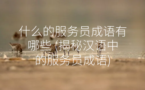 什么的服务员成语有哪些 揭秘汉语中的服务员成语