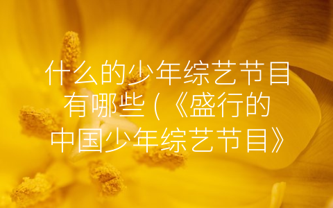 什么的少年综艺节目有哪些 《盛行的中国少年综艺节目》