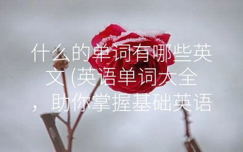 什么的单词有哪些英文 英语单词大全 助你掌握基础英语！