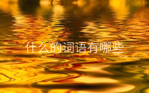 什么的词语有哪些