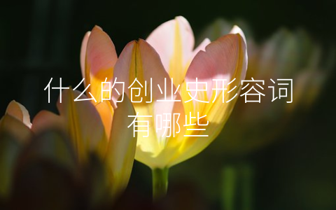 什么的创业史形容词有哪些
