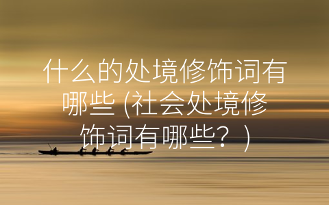 什么的处境修饰词有哪些 (社会处境修饰词有哪些？)