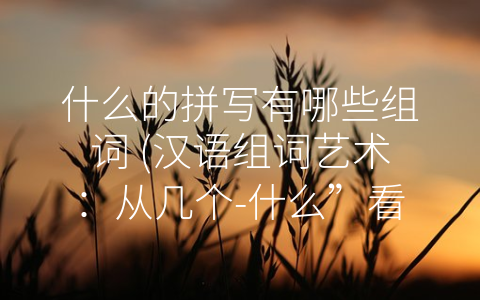 什么的拼写有哪些组词 (汉语组词艺术：从几个-什么”看中文语法的奥妙)