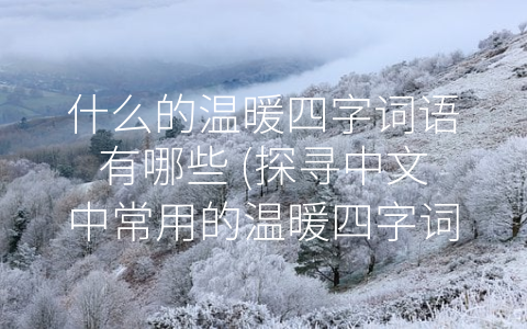什么的温暖四字词语有哪些 (探寻中文中常用的温暖四字词语)