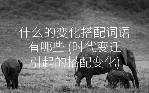 什么的变化搭配词语有哪些 (时代变迁引起的搭配变化)