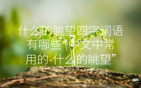 什么的眺望四字词语有哪些 (中文中常用的-什么的眺望”四字词语)