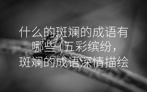 什么的斑斓的成语有哪些 (五彩缤纷，斑斓的成语深情描绘)