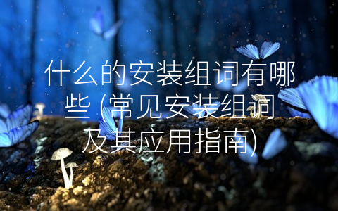 什么的安装组词有哪些 (常见安装组词及其应用指南)