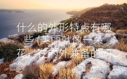 什么的外形特点有哪些 (美丽就像一朵花，在内外兼备的同时，也需要多样性的包容。)