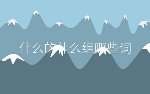 什么的什么组哪些词