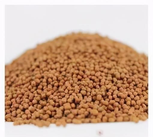 怎么喂龟不会脏水,几度就能喂龟图2