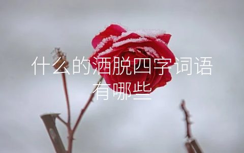 什么的洒脱四字词语有哪些