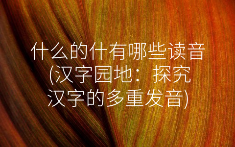 什么的什有哪些读音 (汉字园地：探究汉字的多重发音)