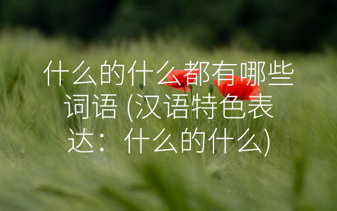 什么的什么都有哪些词语 (汉语特色表达：什么的什么)
