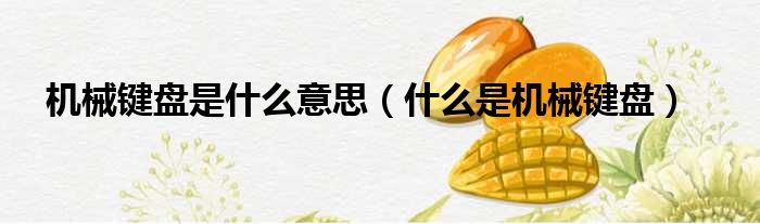 机械键盘是什么意思 什么是机械键盘