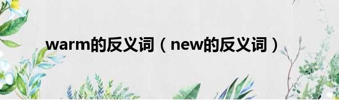warm的反义词 new的反义词