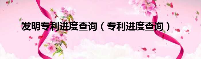 发明专利进度查询 专利进度查询