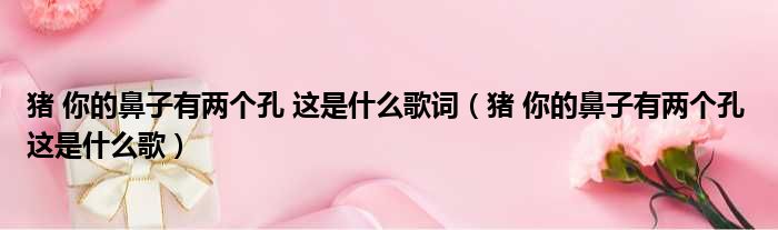猪 你的鼻子有两个孔 这是什么歌词 猪 你的鼻子有两个孔 这是什么歌