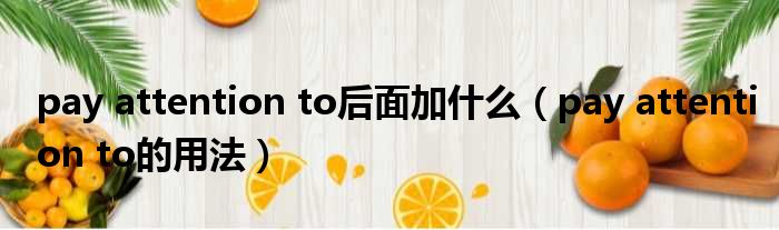 pay attention to后面加什么 pay attention to的用法