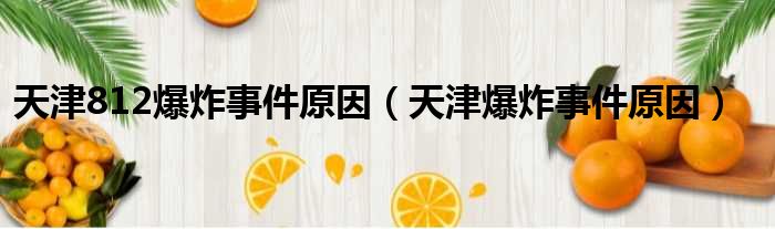 天津812爆炸事件原因 天津爆炸事件原因