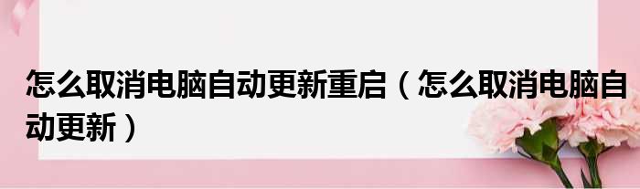 怎么取消电脑自动更新重启 怎么取消电脑自动更新