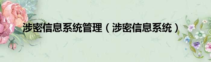 涉密信息系统管理 涉密信息系统