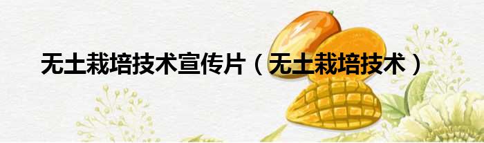 无土栽培技术宣传片 无土栽培技术