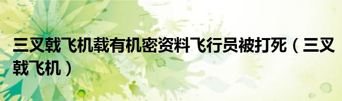 三叉戟飞机载有机密资料飞行员被打死 三叉戟飞机