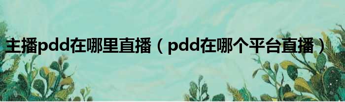 主播pdd在哪里直播 pdd在哪个平台直播
