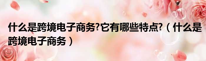 什么是跨境电子商务 它有哪些特点  什么是跨境电子商务