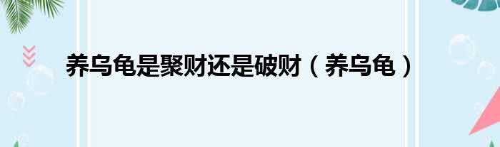 养乌龟是聚财还是破财 养乌龟