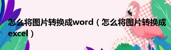 怎么将图片转换成word 怎么将图片转换成excel