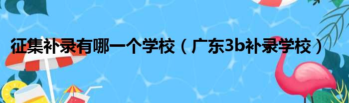 征集补录有哪一个学校 广东3b补录学校