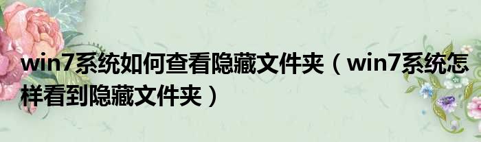 win7系统如何查看隐藏文件夹 win7系统怎样看到隐藏文件夹