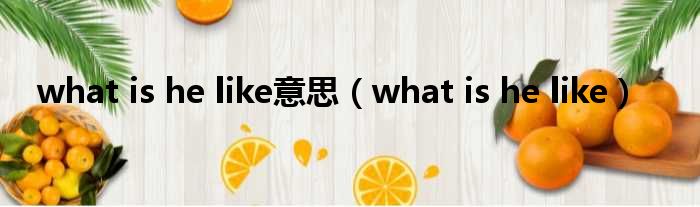 what is he like意思 what is he like