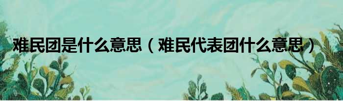 难民团是什么意思 难民代表团什么意思