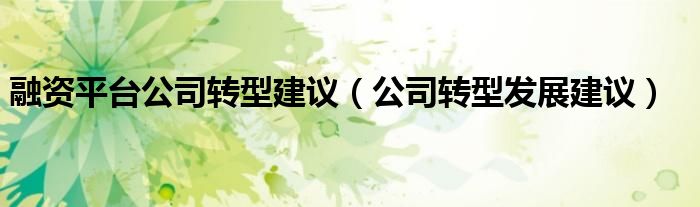 融资平台公司转型建议 公司转型发展建议